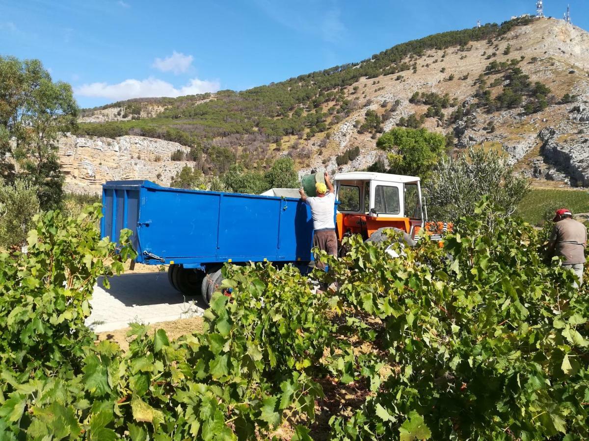 Villa Bonifato Vista Sulle Campagne E Sul Mare Siciliano Cozy House Italy 알카모 외부 사진