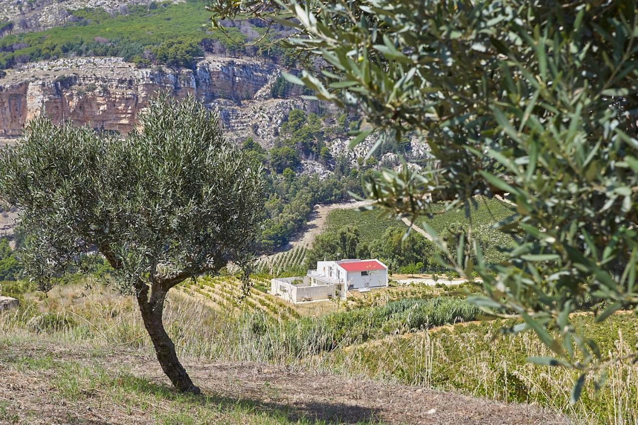 Villa Bonifato Vista Sulle Campagne E Sul Mare Siciliano Cozy House Italy 알카모 외부 사진